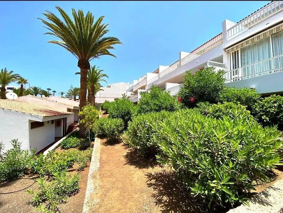 Estudio Paradero Daire Playa de las Américas